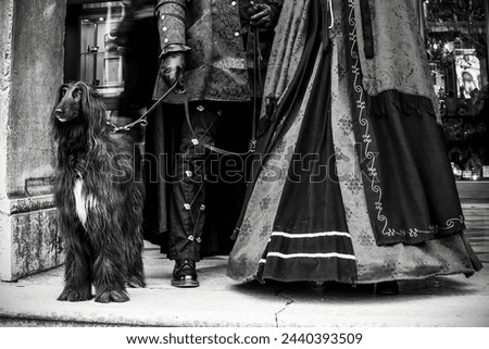 An Afghan hound stands dignified beside an owner in traditional attire, both exuding timeless elegance. The monochrome enhances the majestic and cultural aura. Stock photo © 