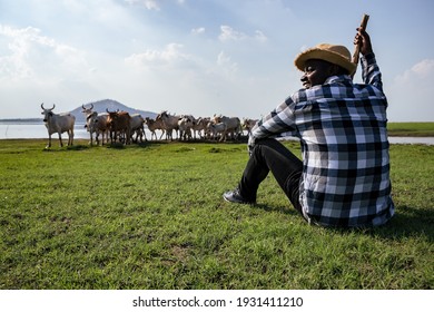 Africa American man feed and care the subsistence of cows in local farm near river and using a wood for control livestock. A farmer is a profession that requires patience and diligence - Shutterstock ID 1931411210