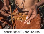 Africa, Botswana, Kalahari desert. Berries in the hands of an elder tribesman of the hunter-gatherer !Kung people, part of San tribe.