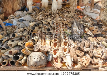 Africa fetish bones in market