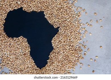 Africa as hunger and shortages loom. Grain shortage and food security, a world in crisis during war between Russia and Ukraine