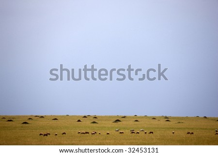 Similar – Image, Stock Photo mow grass Colour photo