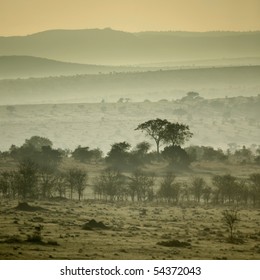 Africa Landscape Serengeti National Park, Serengeti, Tanzania