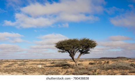 Somalia Landscape Images, Photos & Vectors