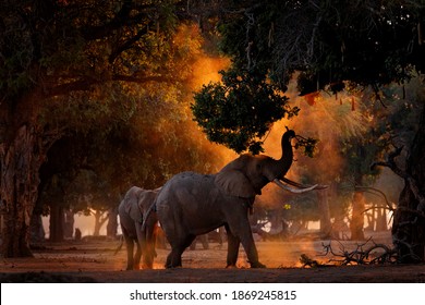 L Afrique Images, Stock Photos u0026 Vectors  Shutterstock