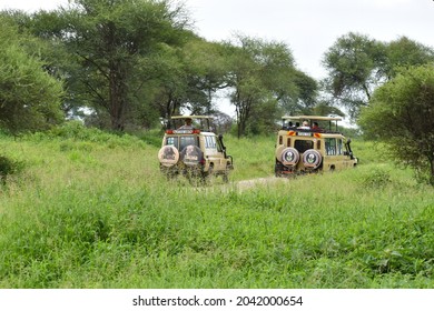 Africa.  Tanzania. May 2021. Jeep Travel In Africa. Safari Cruise In The Park In Tanzania