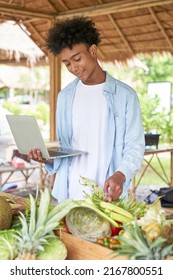 African American Boy Smiling And Learning A Organic Fruit And Vegetables From Internet On Laptop In Organic Farm Field Trip