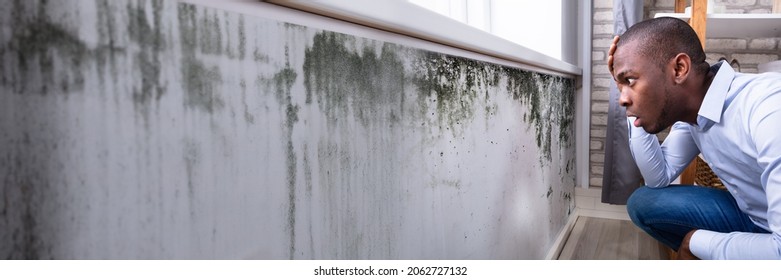 African American Checking Moldy Wall In House