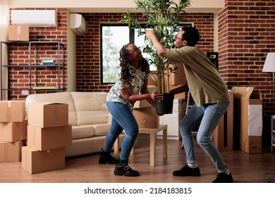 African American Couple Decorating New Apartment To Move In, Unpacking Plant And Furniture In Living Room. Relocating Household Property After Buying First House Together, Life Event.