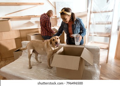 African American Couple With Labrador Dog Moving To New Home