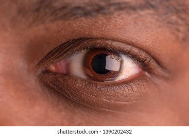 African American Dark Brown Eye Close Up Large Pupil