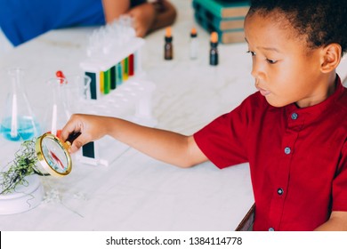 African American Elementary School Boy Using Magnifier To Test Green Plant For Scientific Proof In Science Classroom - Biology And Ecology Concept.