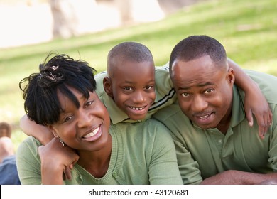 African American Family Enjoying A Day In The Park.