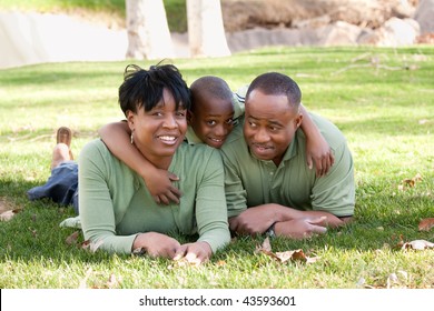 African American Family Enjoying A Day In The Park.