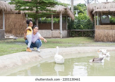 African American Family, Father, Mother And Daughter Travel In The Animal Farm. Holiday And Travel Concept