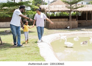 African American Family, Father, Mother And Daughter Travel In The Animal Farm. Holiday And Travel Concept