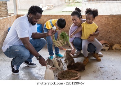 African American Family, Father, Mother, Son And Daughter Feed The Rabbits In The Farm. Holiday And Travel Concept