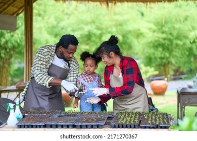 African American Family Are Spending Time Together At The Organic Farm, Happy Parents With Their Little Daughter On Outdoor Field