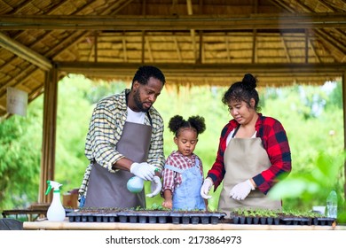 African American Family Are Spending Time Together At The Organic Farm, Happy Parents With Their A Little Daughter On Outdoor Field