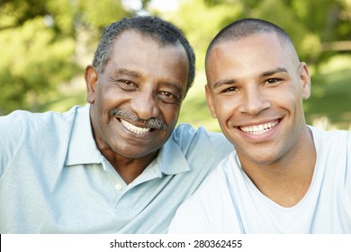 African American Father And Adult Son Relaxing In Park