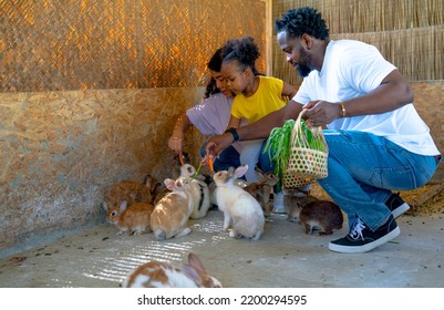 African American father and Asian mother enjoin with their daughter to have fun and relax activity to feed and play with rabbit in farm during holiday and good activity together. - Shutterstock ID 2200294595