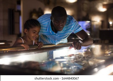 African American Father And Daughter Looking At Stands With Exhibits At Historical Museum 