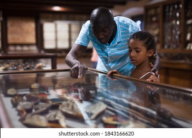 African American Father And Daughter Looking At Stands With Exhibits At Historical Museum