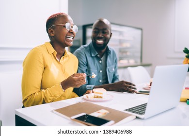 African American Female In Casual Outfit Laughing And Eating Tasty Cake While Sitting Near Colleague At Cafe Table During Cooperative Work On Project