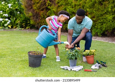 African american girl and mid adult father with watering can gardening in backyard. unaltered, family, flowering plants, childhood, nature and gardening. - Powered by Shutterstock