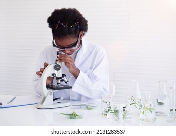 African American girl scientists learning science doing with microscope of plants in the laboratory. - Powered by Shutterstock