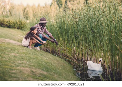 African American Granddaughter And Her Grandfather Feeding White Swan On Lake In Park 