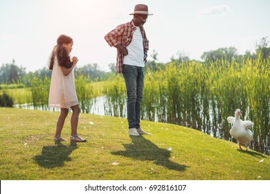 African American Granddaughter And Her Grandfather Standing At Lake With Goose