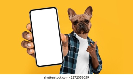 African American Guy With Head Of French Bulldog In Casual Pointing At Cell Phone With White Screen In His Hand, Posing Standing Over Yellow Studio Background, Mockup, Collage - Powered by Shutterstock