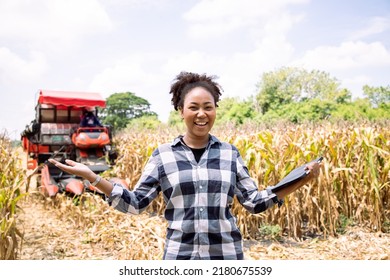 African American holding tablet at field while combine harvester woking on corn fields. Agricultural inspecting quality of ripe corn. Harvest season to make money. Planters concept.