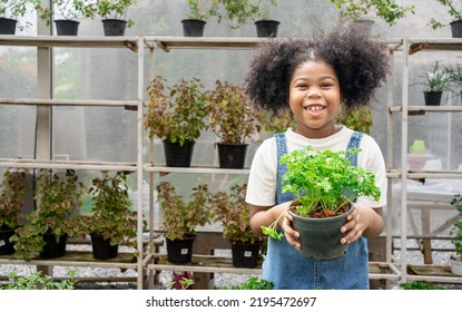  African American kid showing a parley pot vegetable and herb.Plant from market for growth in summer activity , weekend.Global warming concept,green house effect reducing. - Shutterstock ID 2195472697