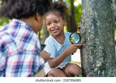 African American Little Girls With Friends Exploring And Looking Bugs On The Tree With The Magnifying Glass Between Learning Beyond The Classroom. Education Outdoor Concept.