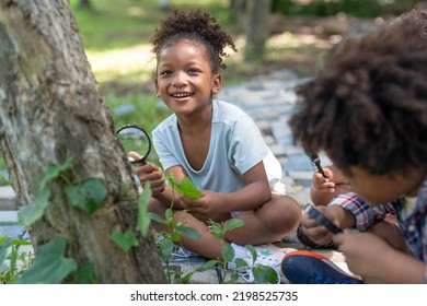 African American Little Girls With Friends Exploring And Looking Bugs On The Tree With The Magnifying Glass Between Learning Beyond The Classroom. Education Outdoor Concept.