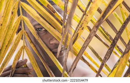 African American Male Traveler Hiding Behind Yellow Palm Leaves And Looking At Camera While Spending Summer Weekend Day On Beach