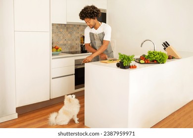 African American man offers healthy snack to his fluffy Pomeranian dog while cooking vegetable dinner in modern kitchen interior, highlighting bonding between owner and pet amidst domestic life - Powered by Shutterstock