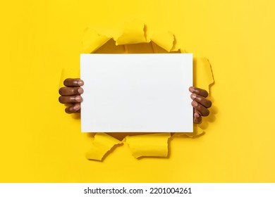 African American Man Showing Blank White Sheet Through Hole In Yellow Paper Background, Presenting Space For Your Text Or Design, Mockup