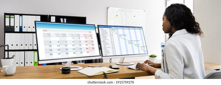 African American Manager Woman Using Corporate Computer