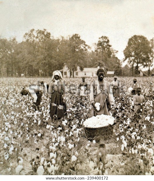 African American Men Women Children Employed Stock Photo (Edit Now ...