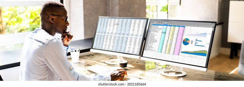 African American Office Employee Auditor Using Spreadsheet