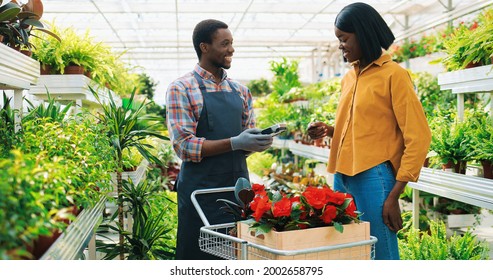 African American Pretty Joyful Young Woman Client Buying Plants In Greenhouse Making Payment Using Credit Card And Smiling. Man Gardener Selling Flowers At Work In Garden Center Shop, Business Concept