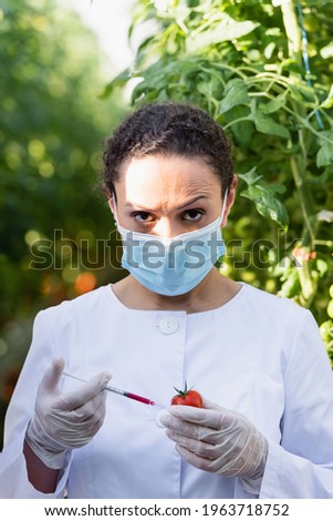 african american quality inspector in medical mask making test of tomato with syringe