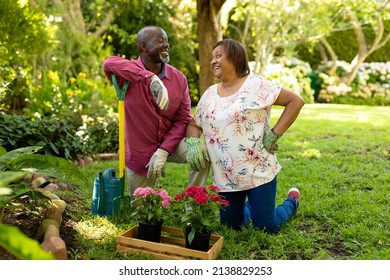 African American Senior Couple Smiling While Gardening Together In Backyard. Unaltered, Togetherness, Retirement, Weekend, Hobbies, Nature And Gardening Concept.