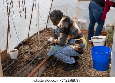 african american senior man growing crops in greenhouse - Powered by Shutterstock