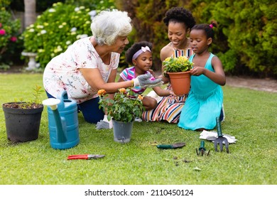 African American Senior Woman Teaching Gardening To Grandchildren And Daughter At Backyard. Family, Love And Togetherness Concept, Unaltered.