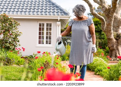 African american senior woman watering plants in backyard. active retirement lifestyle at home and garden. - Powered by Shutterstock