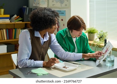 African American Student Pointing At Paper With Sketch Of Frog Held By His Classmate While Both Sitting By Desk And Doing Dissection Of Animal